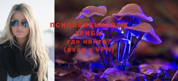 прущие грибы Баксан