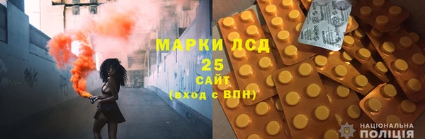 прущие грибы Баксан