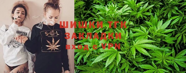 прущие крисы Балахна