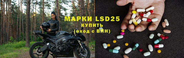 прущие грибы Баксан