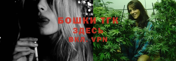 прущие грибы Баксан