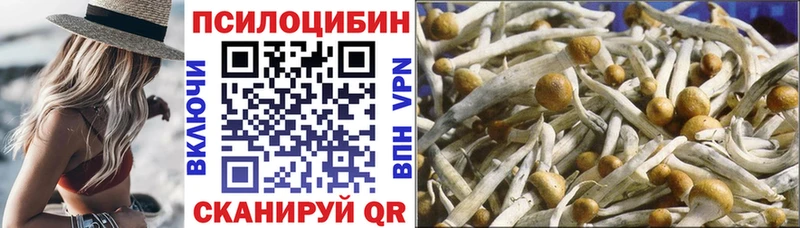 Галлюциногенные грибы прущие грибы  Коммунар 