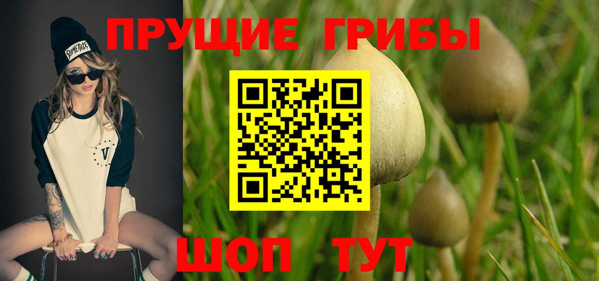 Галлюциногенные грибы мицелий Коммунар